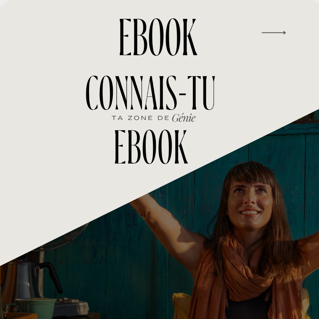 EBOOK Connais-tu ta zone de génie ? thumbnail