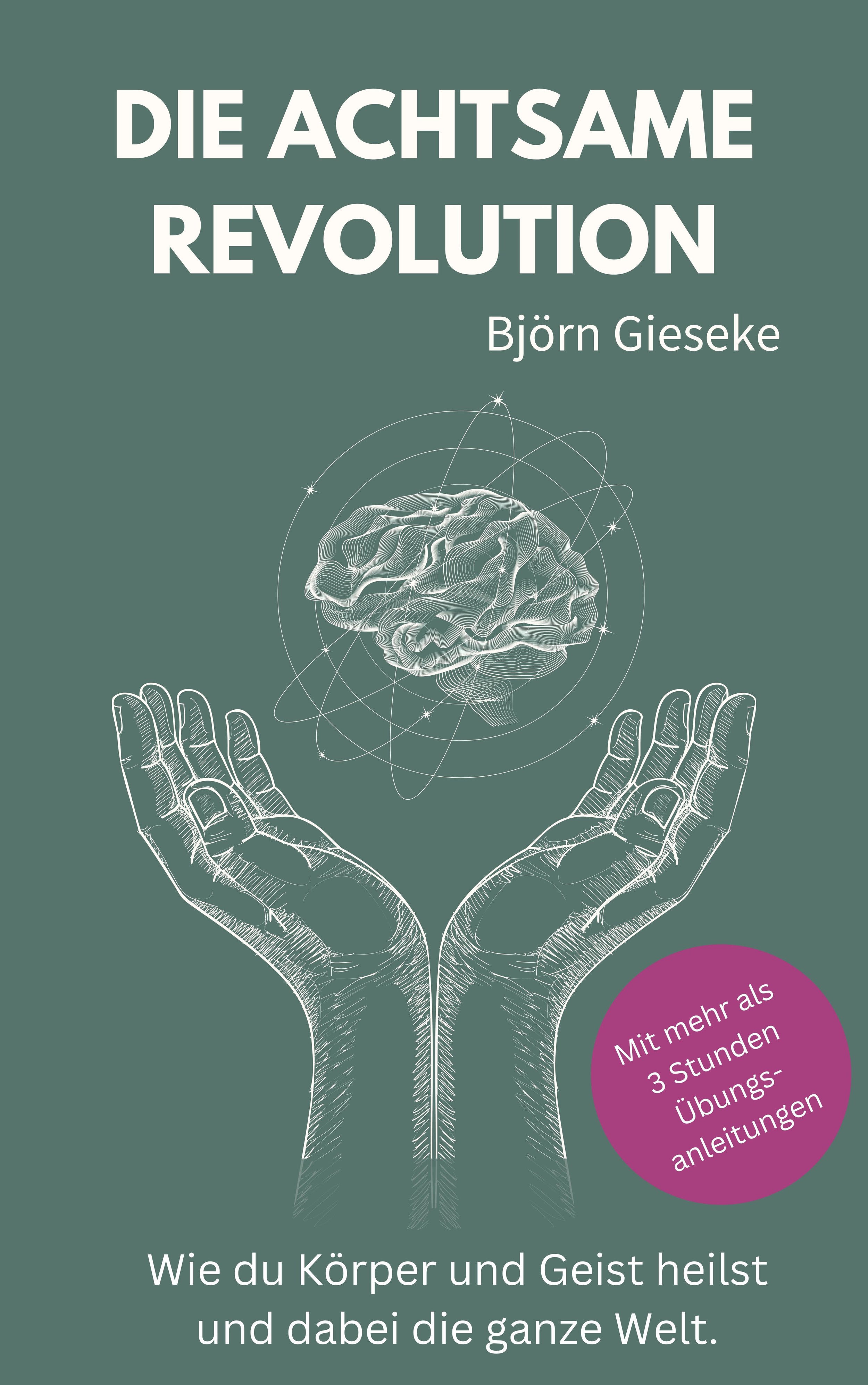 Die Achtsame Revolution | kostenlose Probelesen  thumbnail