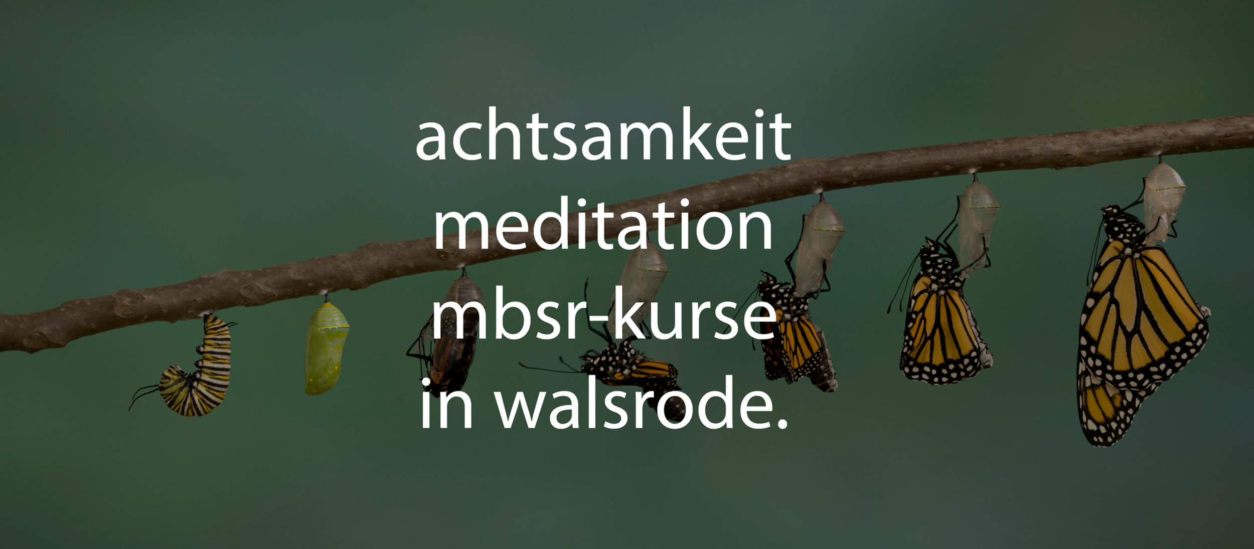 Kontakt | MBSR Walsrode thumbnail