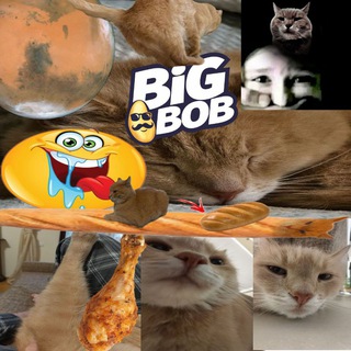 топовый телеграм канал (анонсы будущих стримов) thumbnail