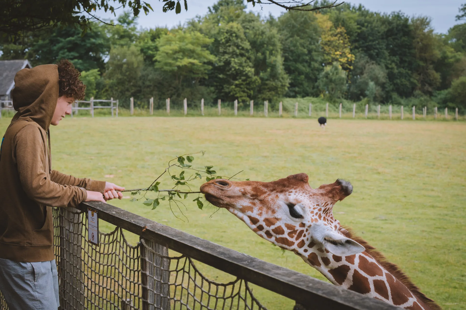 100 choses à faire à Limoges 🦒 thumbnail