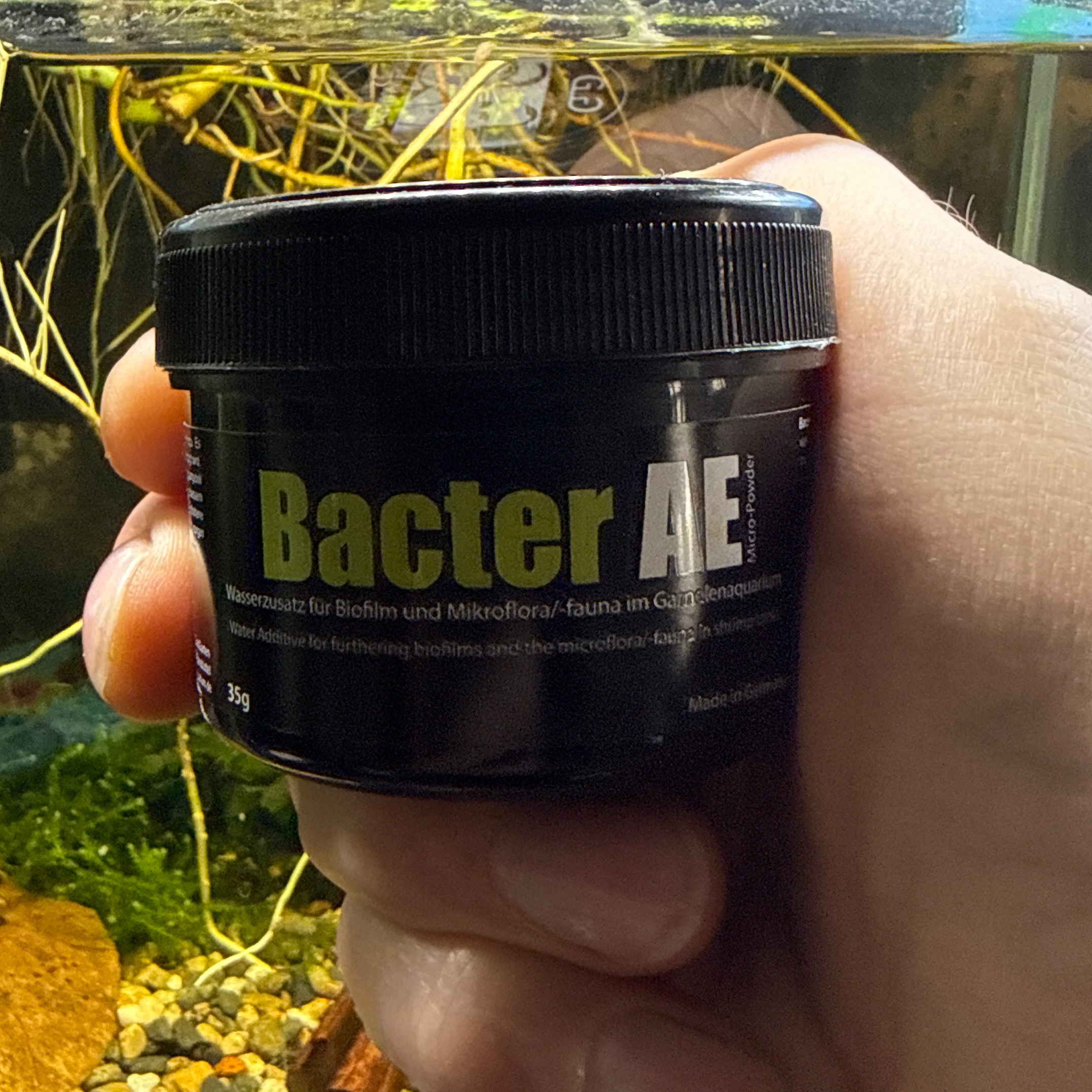 Aquarium | Bakterien Garnelen thumbnail