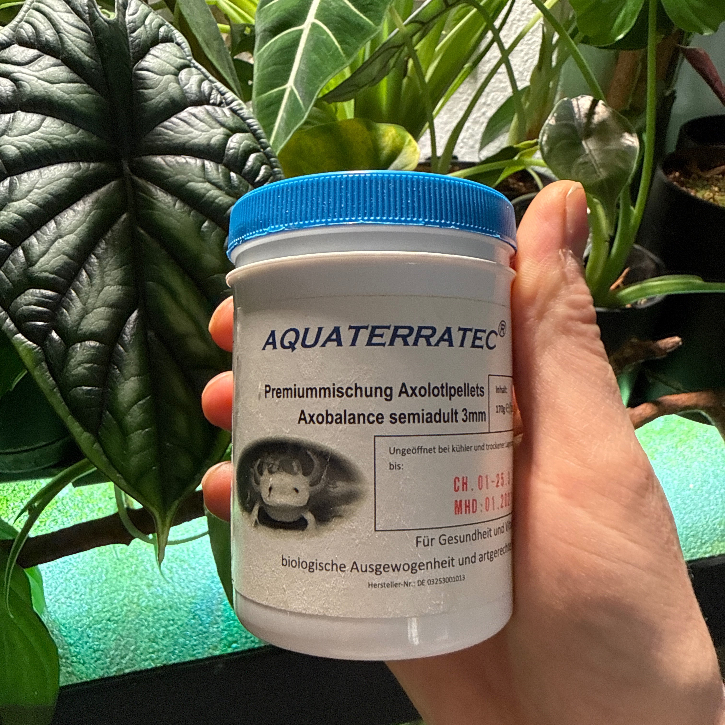 Aquarium | Axolotl Futter thumbnail