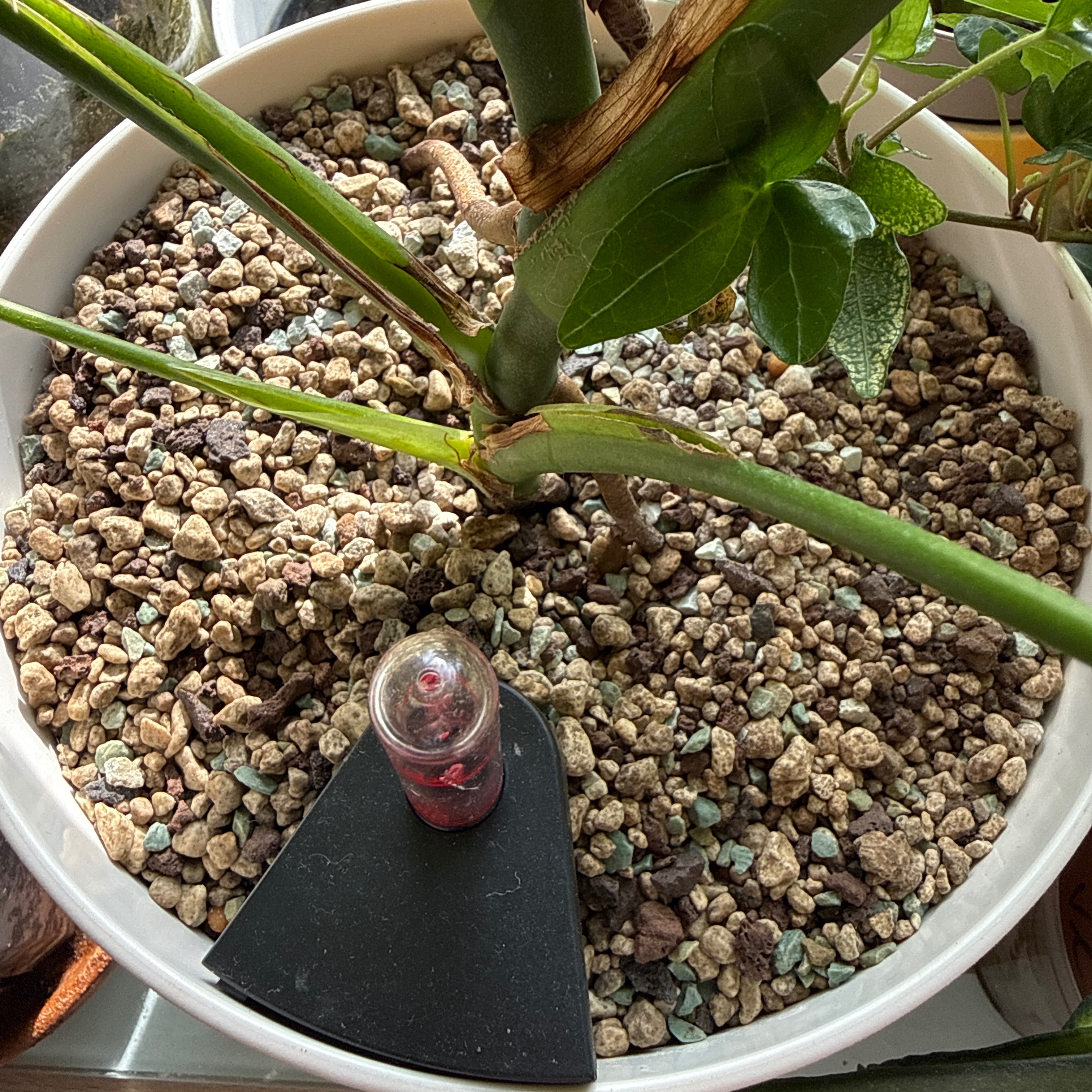 Pflanzen | Pon Substrat thumbnail