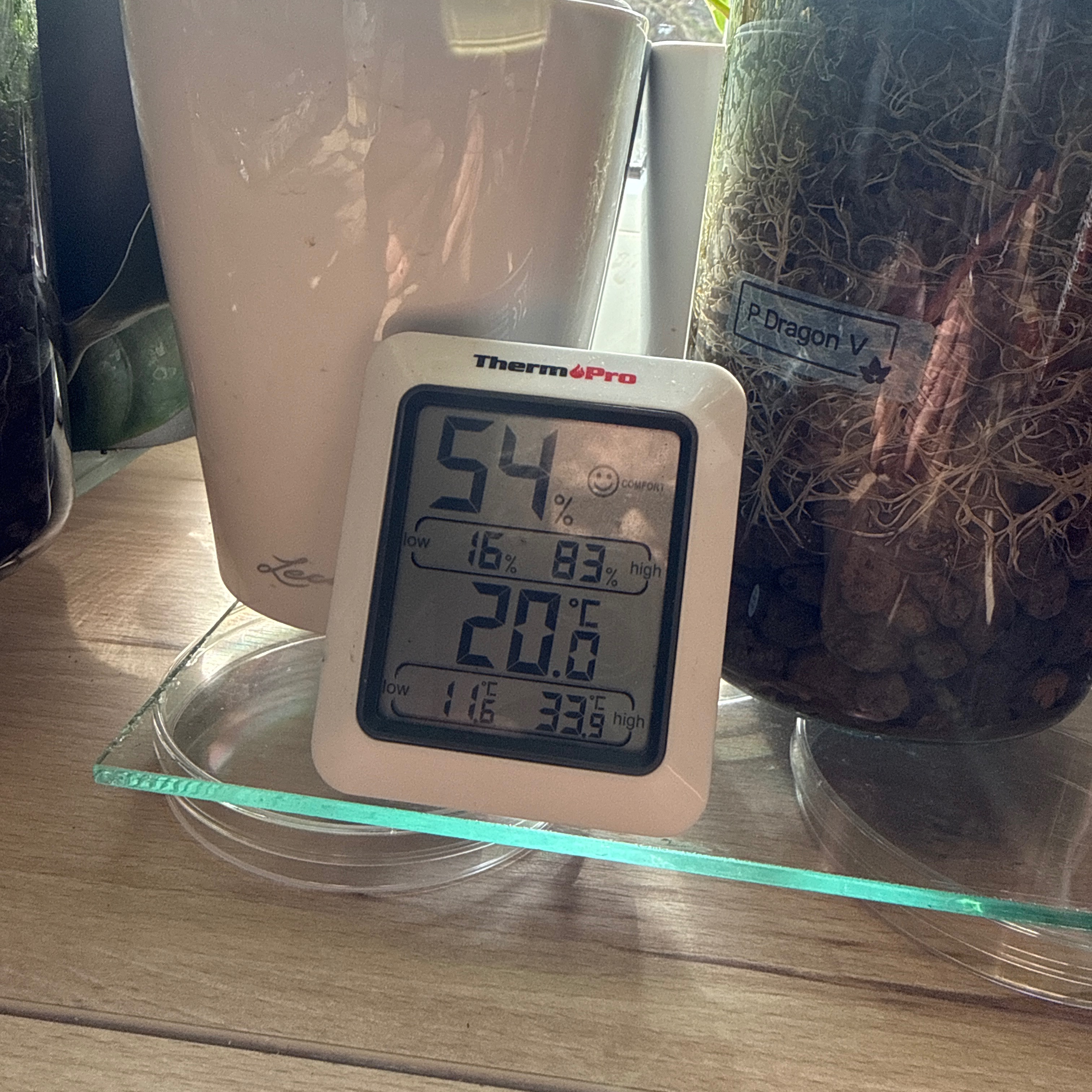 Pflanzen | Thermometer| Hygrometer  thumbnail