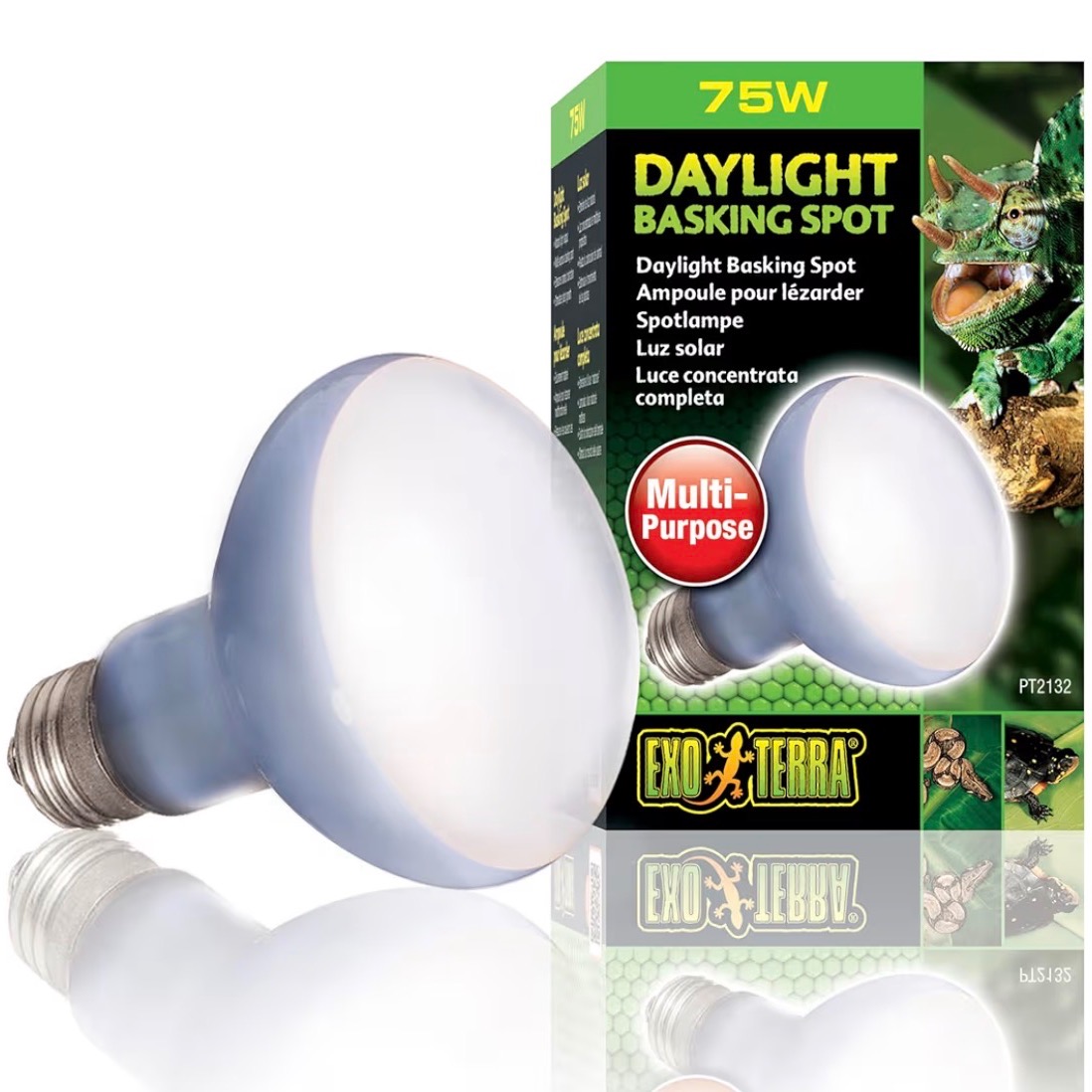 Terrarium | Spot thumbnail