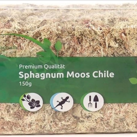 Terrarium | Sphagnum Moos  thumbnail