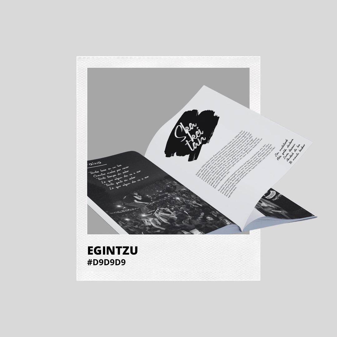 Zenbait argitalpen eta gero proiektua geroz eta osatuagoa dago, eta pixkanaka forma hartzen dijoa. Horretaz gain, hurren