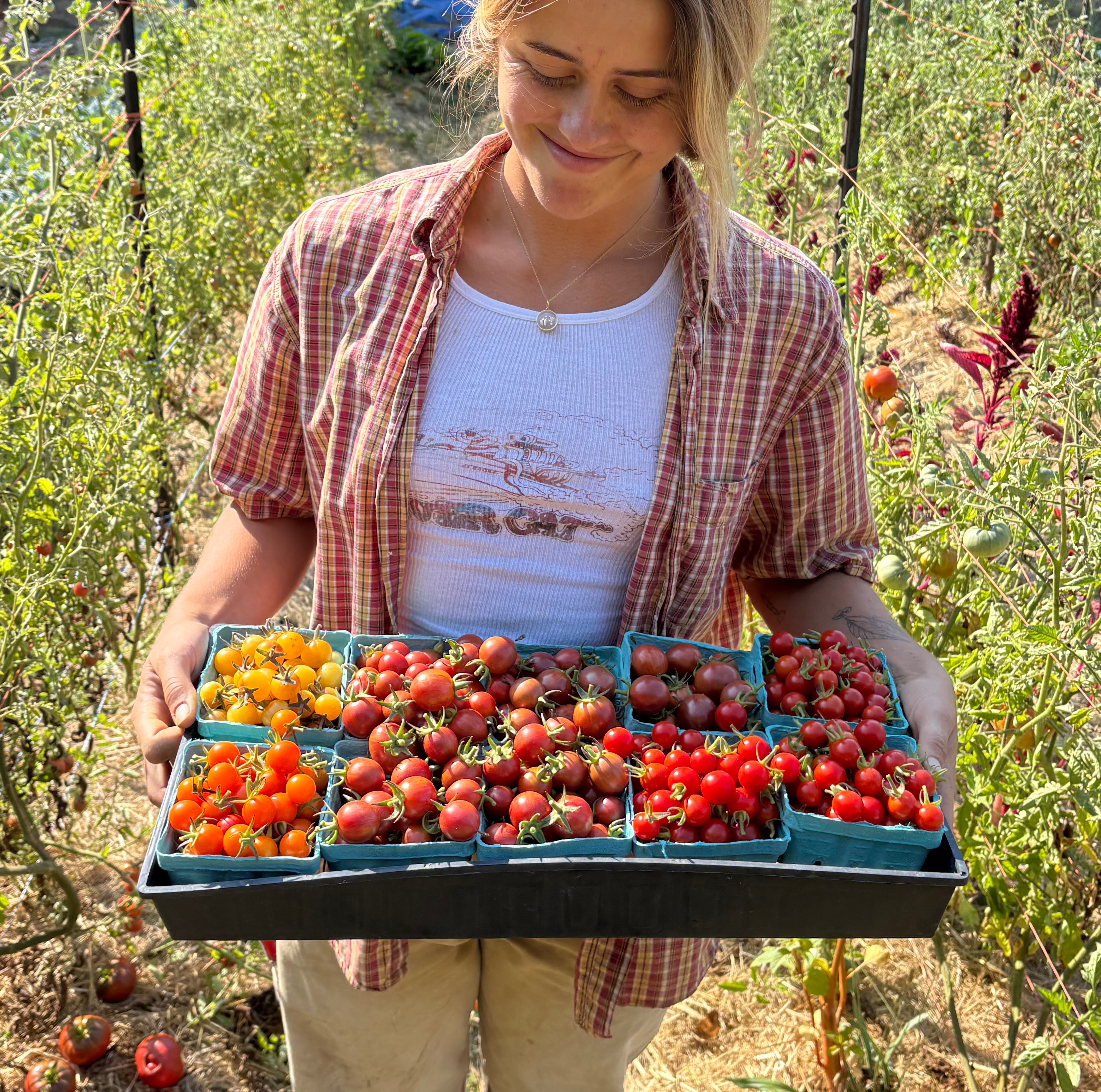 Buy our Produce/Flowers! thumbnail