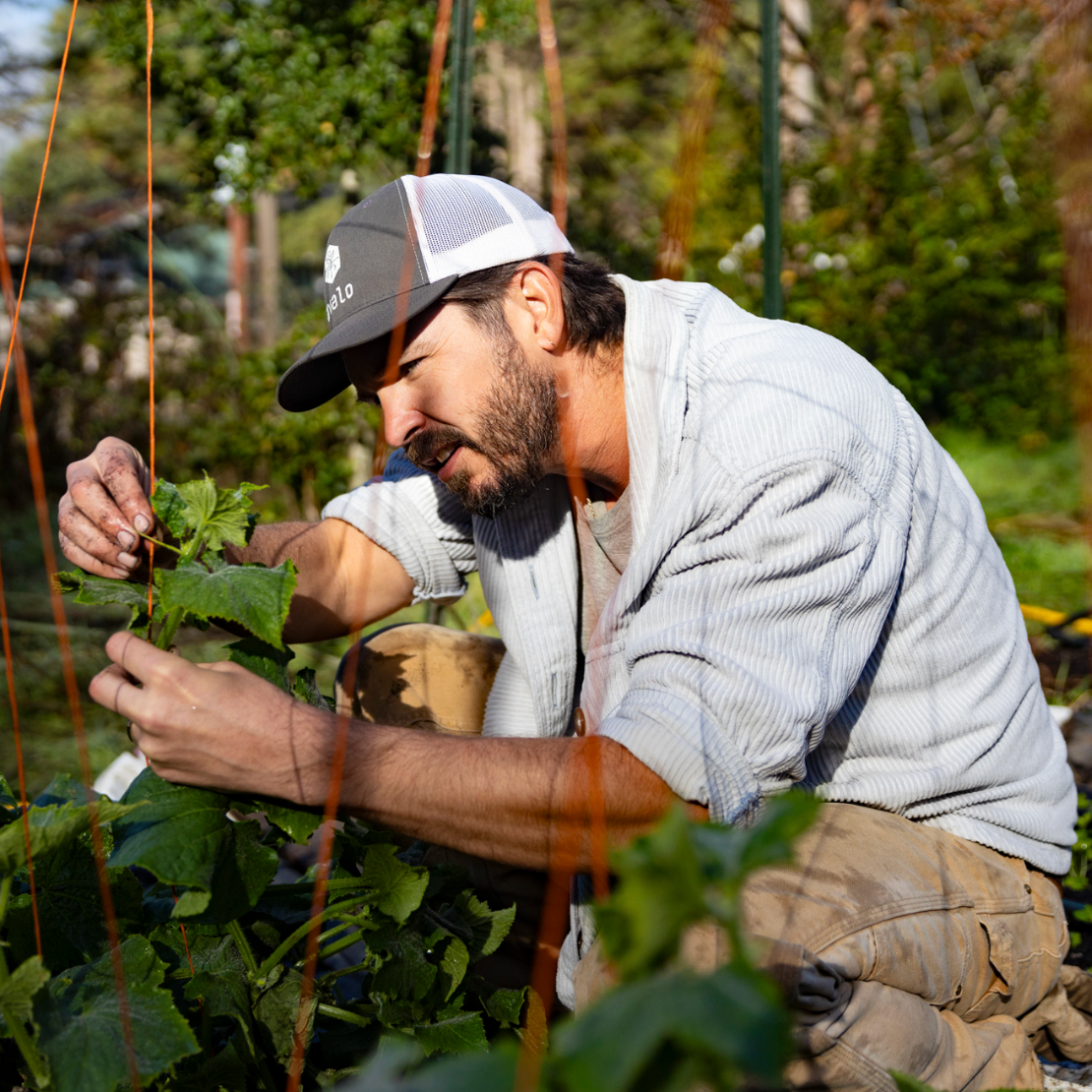 SPF on KQED thumbnail