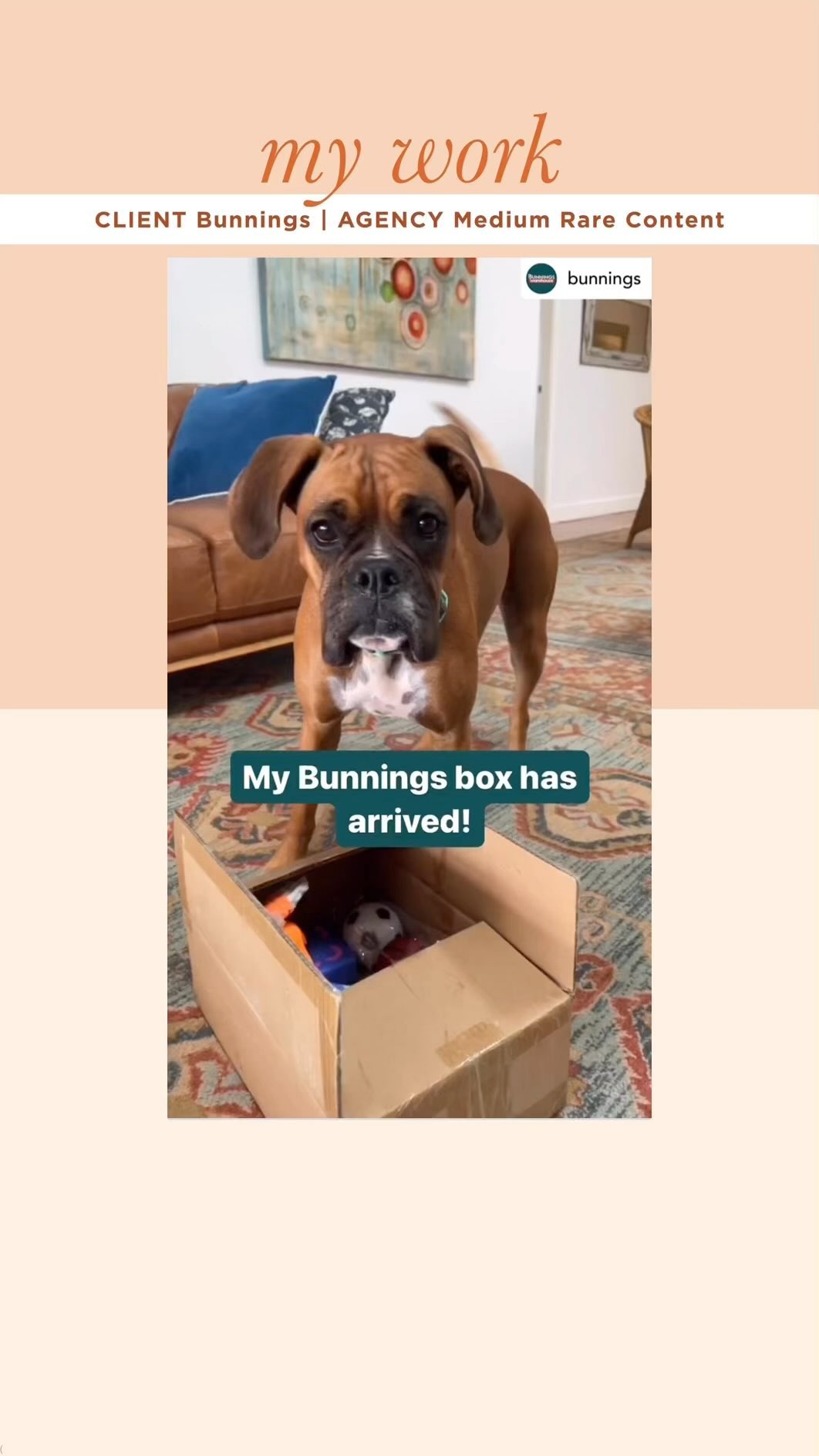 New work Part 1🧡@bunnings new pets range 🐾 Love working with this fab agency @mediumrarecontent for their client @bunnin