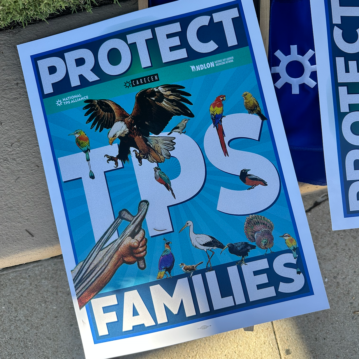 NYT Venezuelan Immigrants Urge Appeals Court to Restore Deportation Protections thumbnail