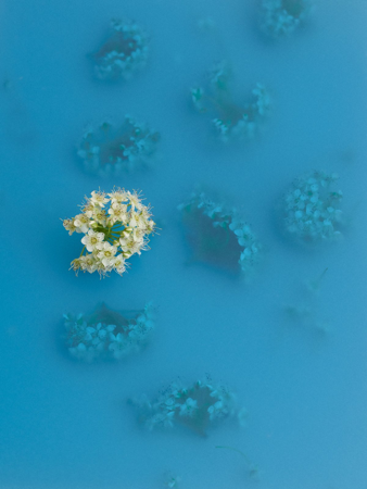 ETHICAL RESOURCES thumbnail