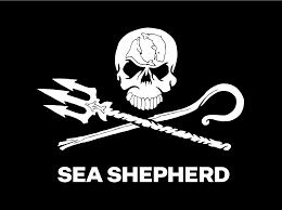 Donate to help Sea Sheperd - #fitfortheocean challenge  thumbnail