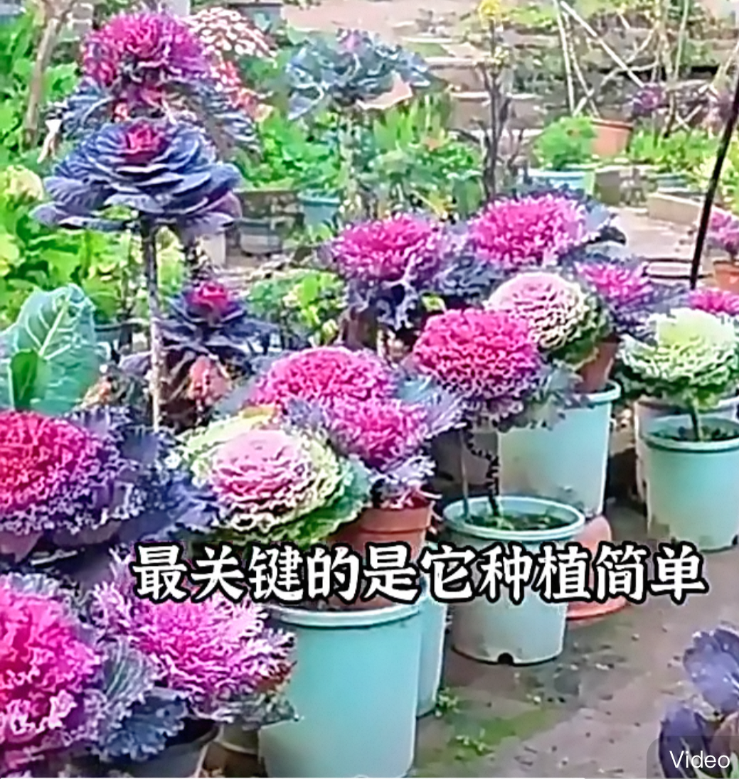 Aijun University  - Bio Site thumbnail