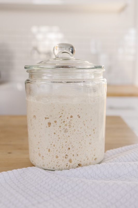 My Fresh Sourdough Starter Shipped to You! thumbnail