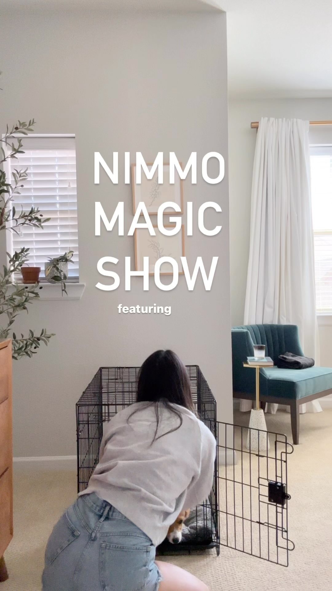 Thank you to @fablepets for transforming Nimmo’s crate from an eyesore to an aesthetic part of the scenery! 🪄✨ This is t