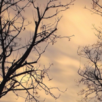 Visit the Blog thumbnail