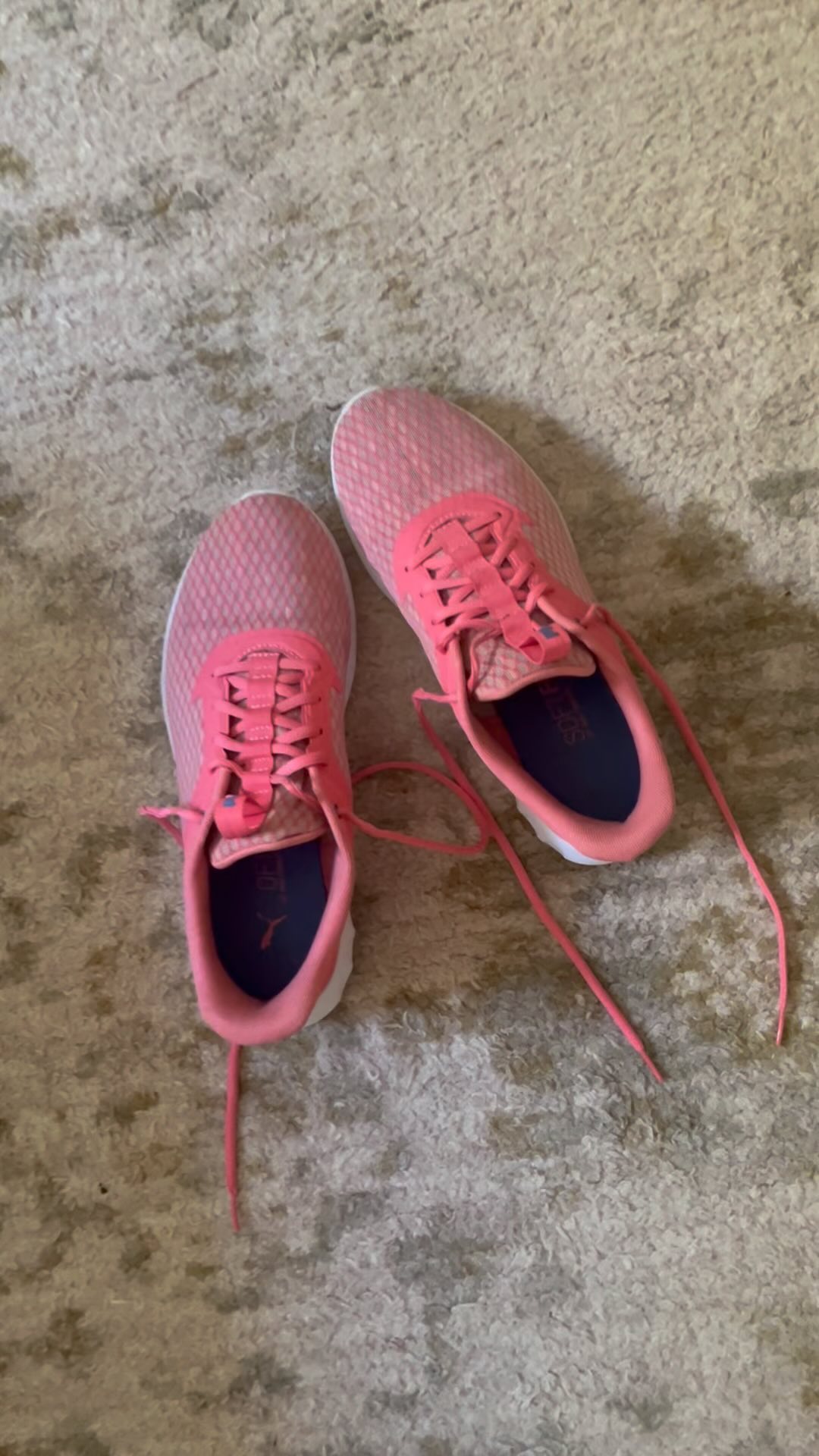 … also recommend snuggling your fur babies for stress relief 🤓🐱 what do find you’re struggling with hormone wise? 🖤