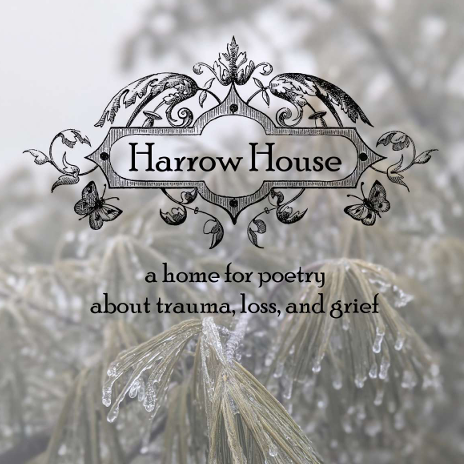 Poem: "911 Watch" for Harrow House Journal, Issue 2 thumbnail