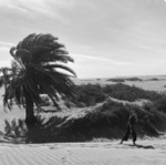 REISEANFRAGE SENDEN thumbnail