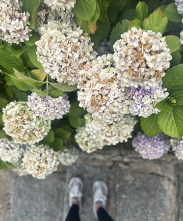 My Newsletter | Notes on Life thumbnail