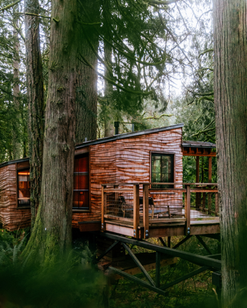 Ananda Treehouse thumbnail