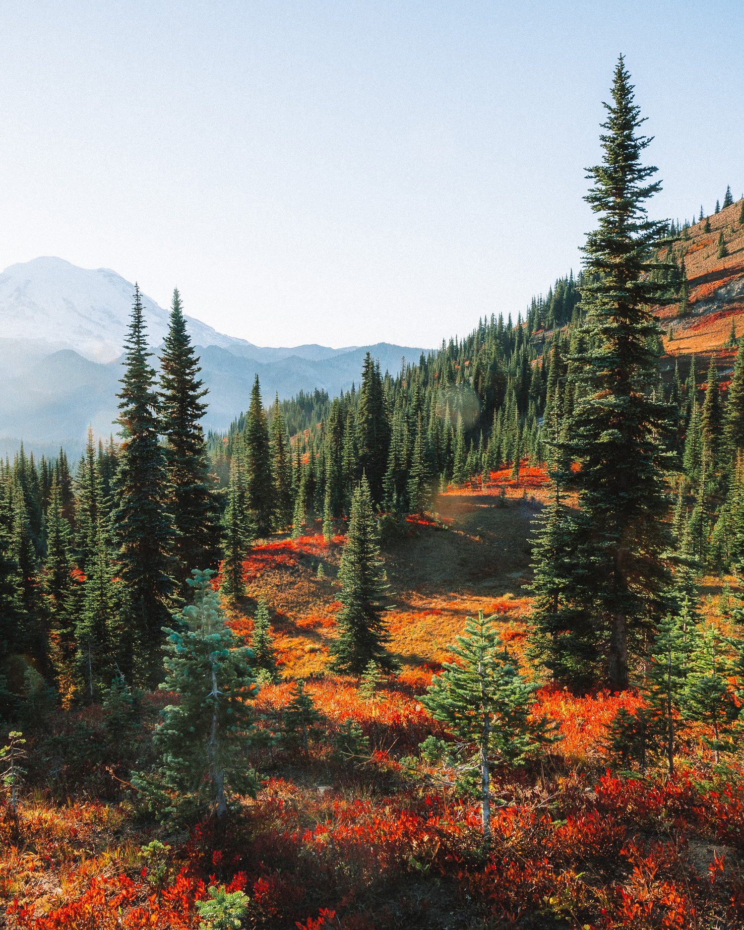 Top 13 Fall Bucket List Adventures in Washington thumbnail