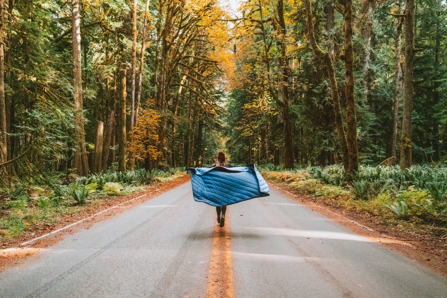 Best Places to See Fall Colors in the Olympic National Park thumbnail