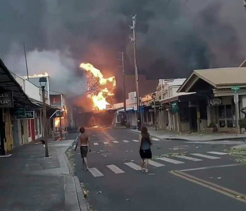 Maui Mutual Aid thumbnail