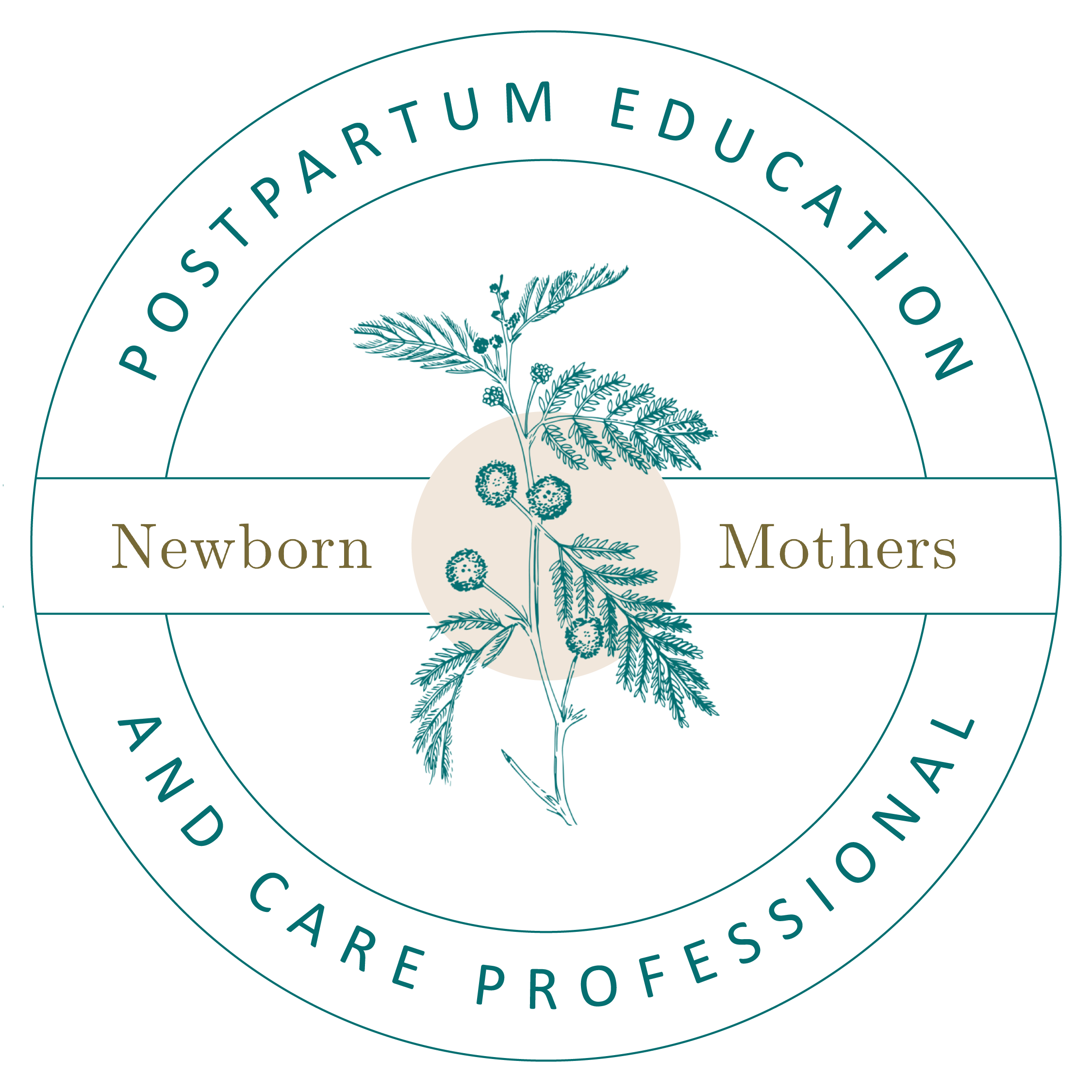 Newborn Mothers Postpartum Education thumbnail