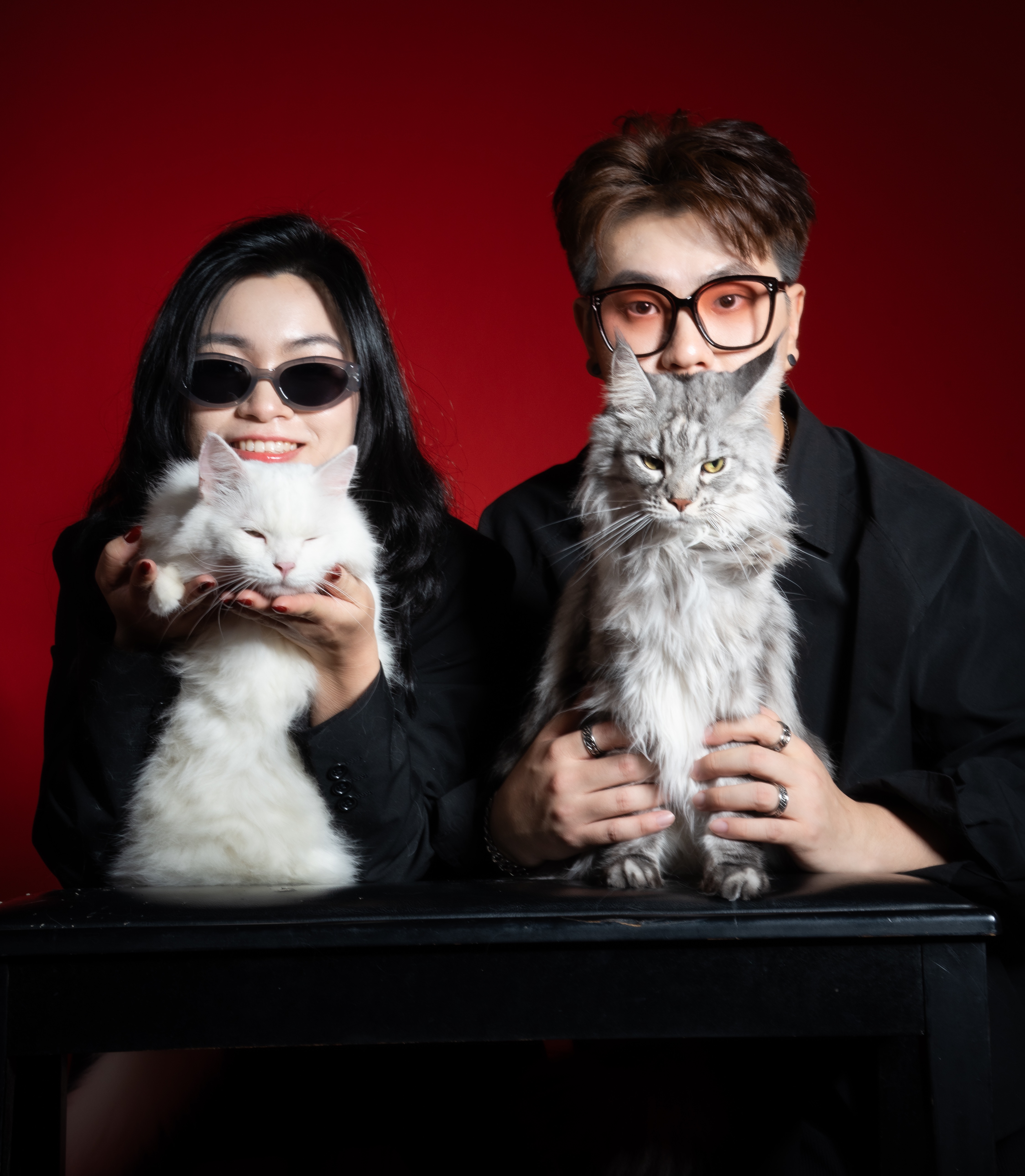 Premium Paw thumbnail