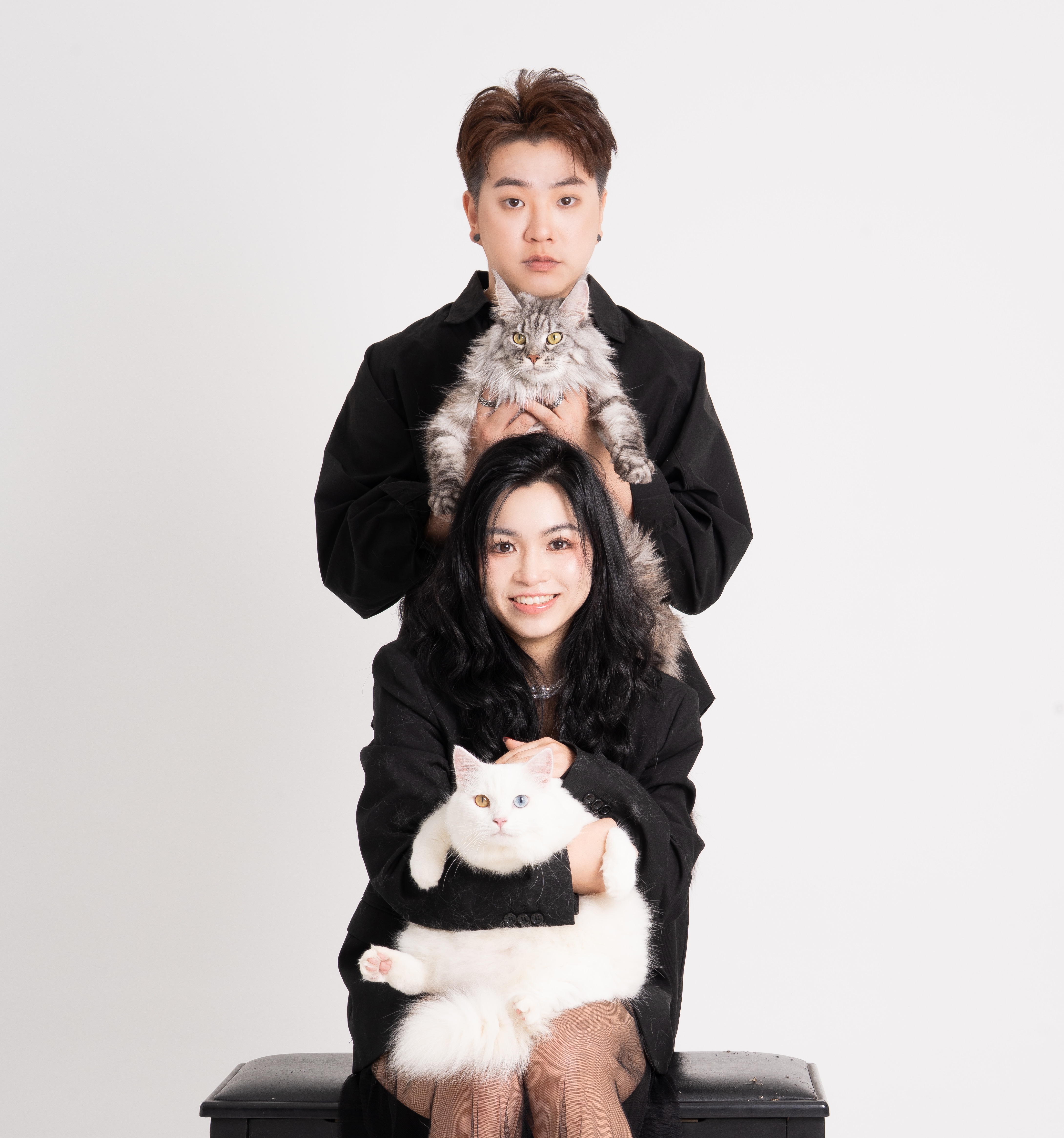 Premium Paw thumbnail