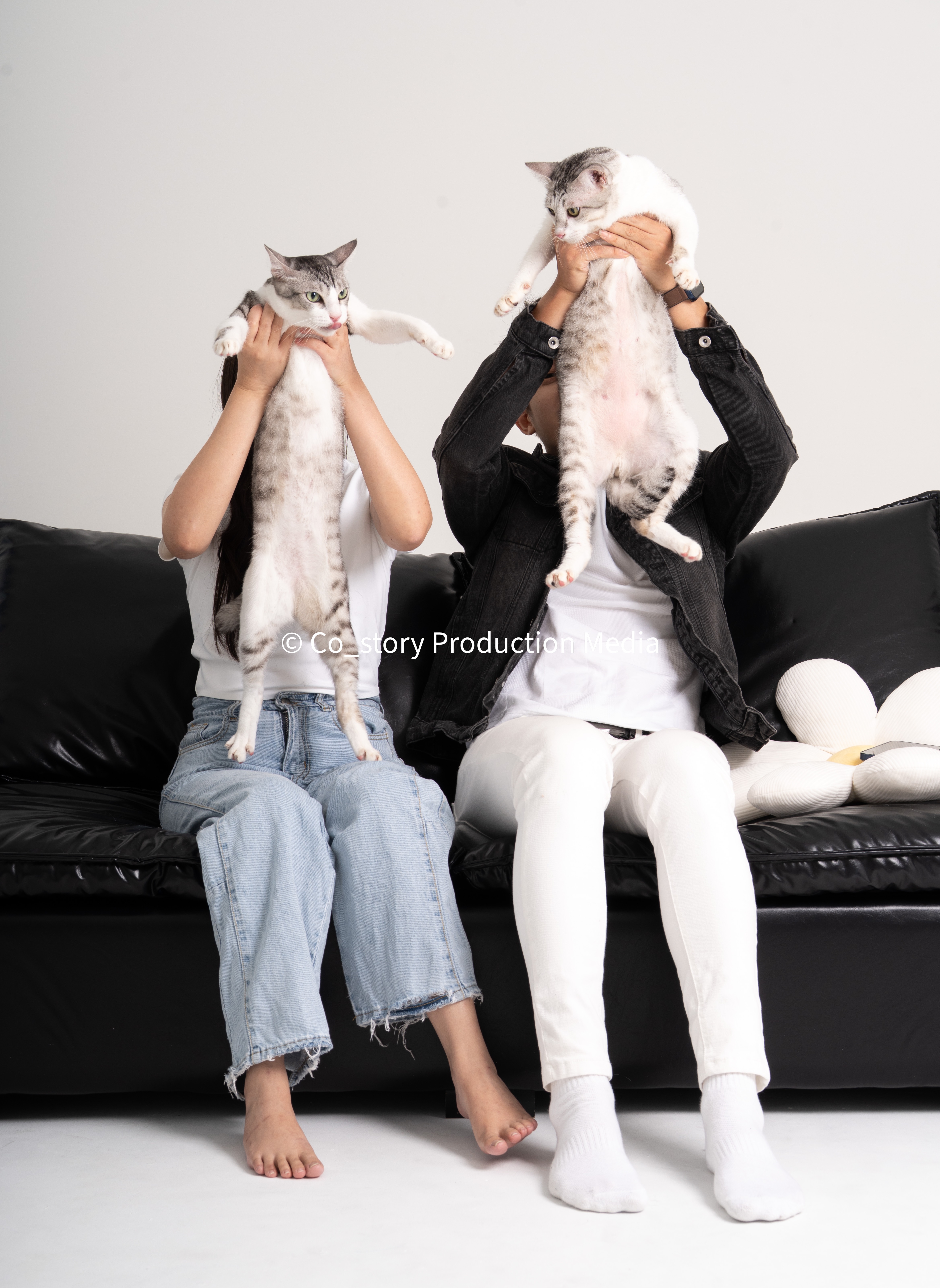 Premium Paw thumbnail