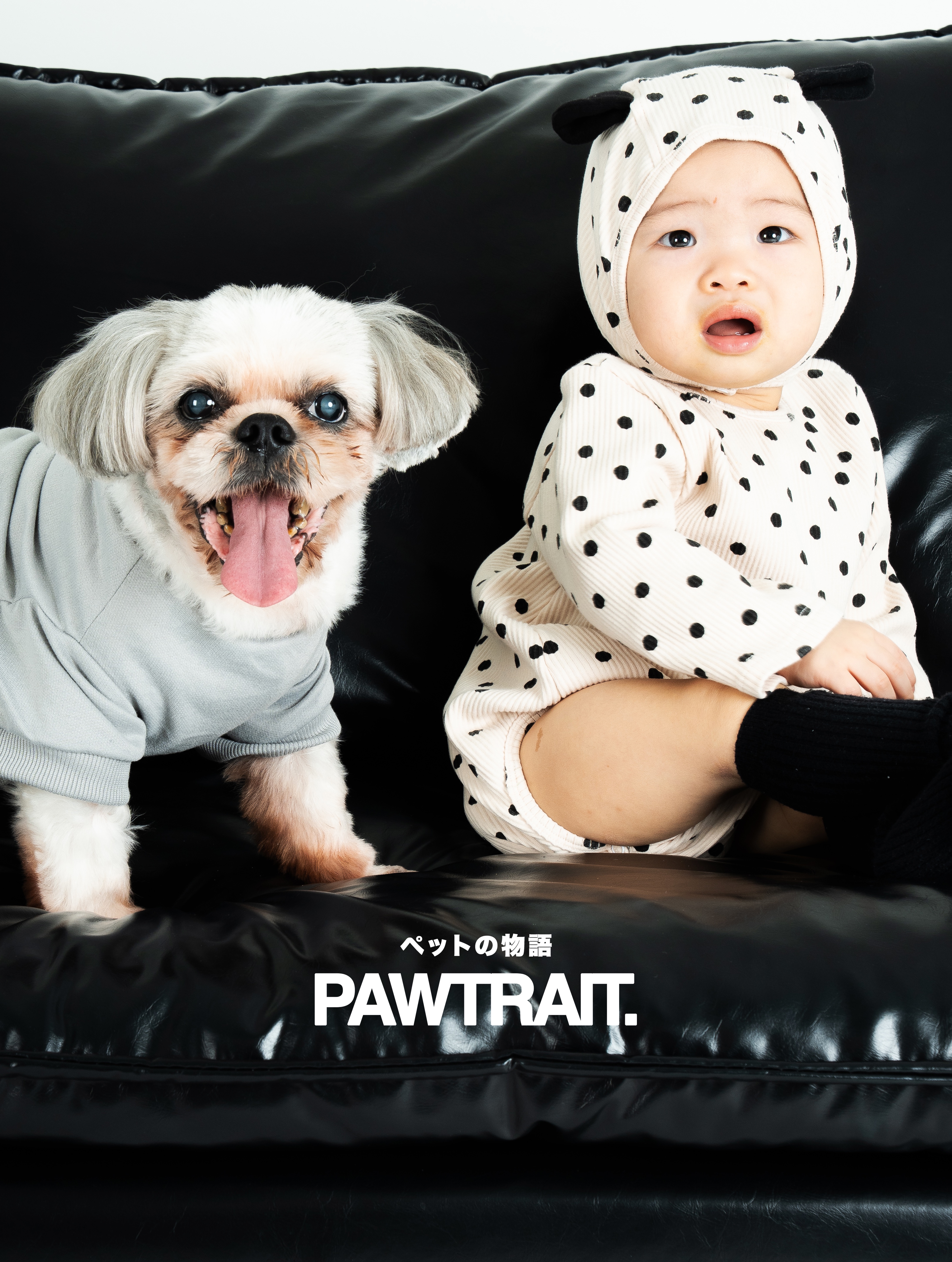 Classic Paw thumbnail