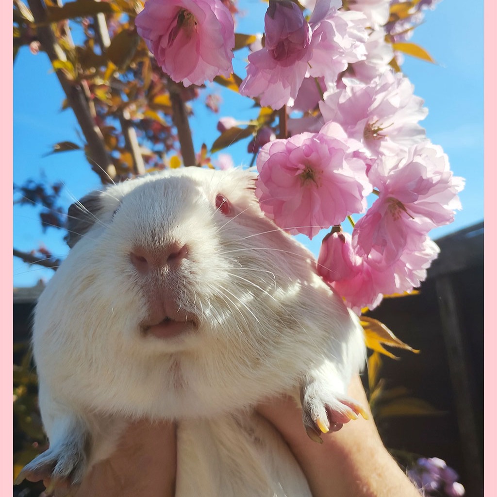 Holiday Gifts thumbnail