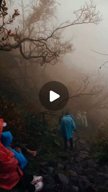 Ɀ𐌀ꛘ on Instagram: "Vibes alam Raya dengan selaput kabut🌿🌧️

#Pendakian #kabutgunung #perjalananpendakian  #alamraya #EksplorNature #lawuviacemorosewu #3265mdpl" thumbnail