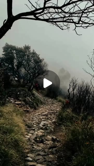 Ɀ𐌀ꛘ on Instagram: "Kabut menyelimuti, Trak jadi magis! 🌫️🏔️

#TrakFog #foggynature #SuasanaSyahdu #kabutgunung" thumbnail