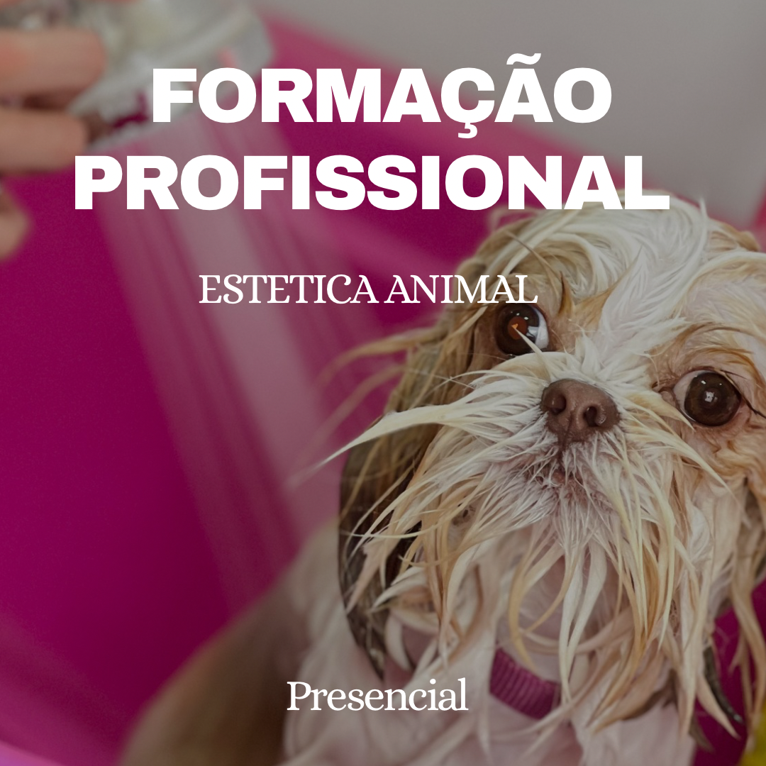 FORMAÇÃO PROFISSIONAL presencial  (iniciante)  thumbnail