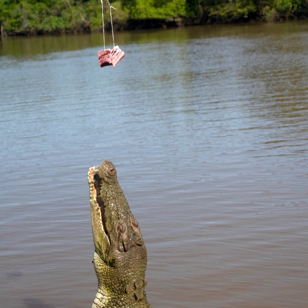 Book Your Next Experience - TripAdvisor thumbnail