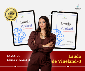 NOVO! Laudo de Devolutiva Vineland-3 thumbnail