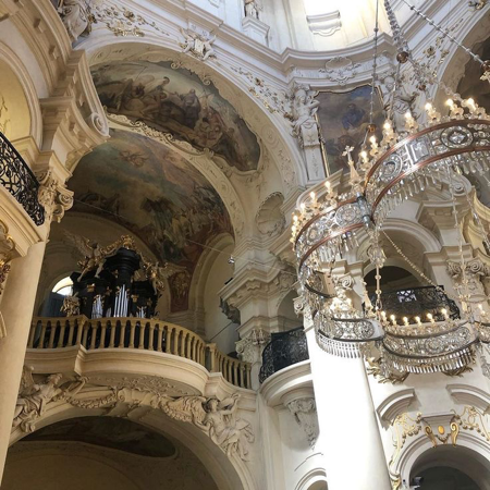 ﹫ 🦨🌷 ، 009  ❛script royal dr❜ thumbnail