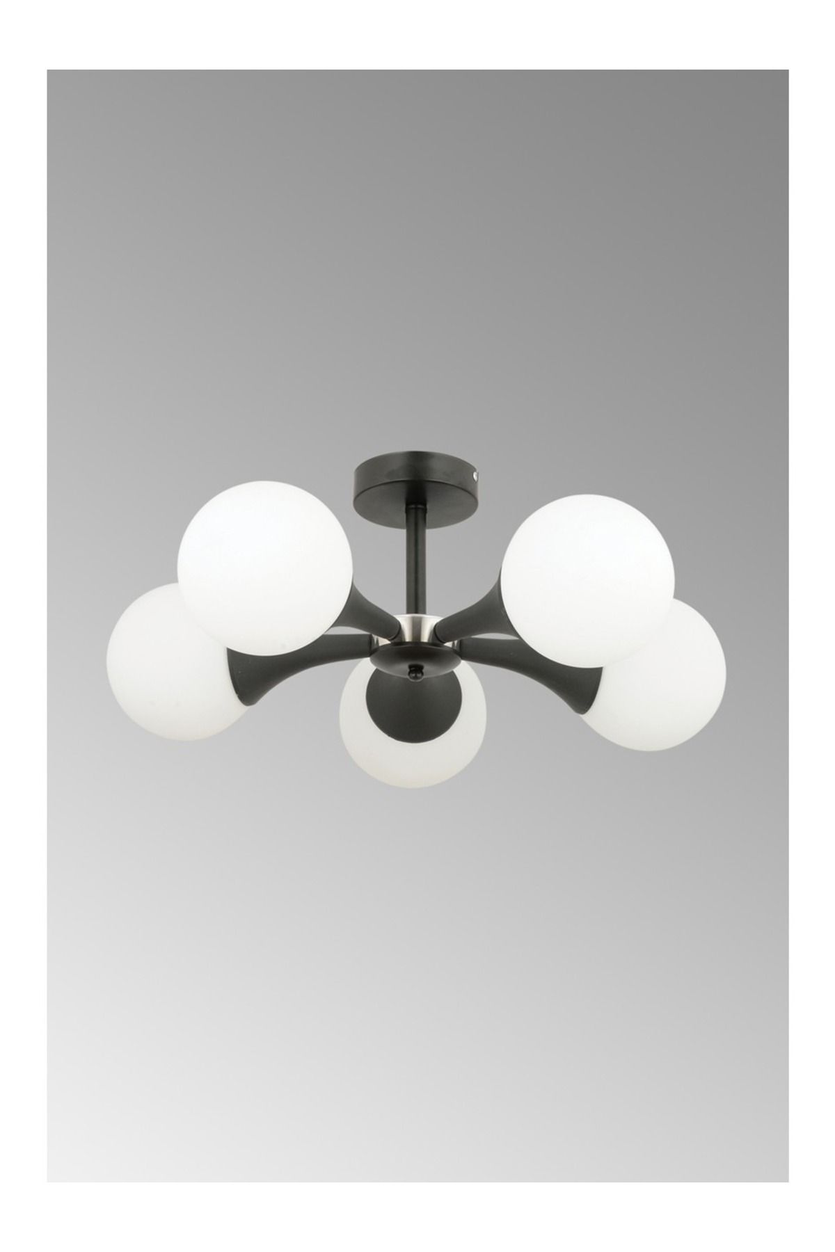 Aydınlatma Dünyam Parla 5li Siyah Beyaz Top Avize Fiyatı, Yorumları - Trendyol thumbnail