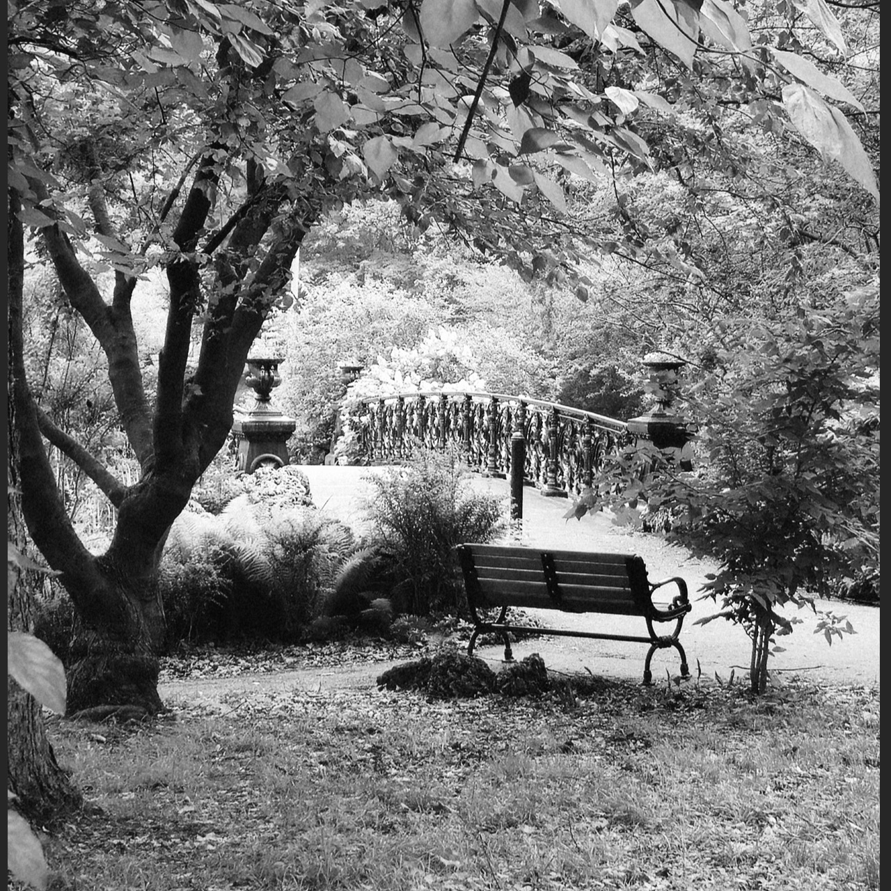 Beit Anya - Bio Site thumbnail