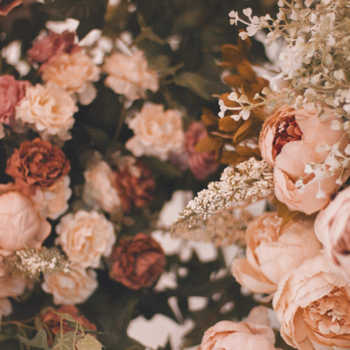 Join the SACRED SISTER SANCTUARY - A sacred membership space for women ready to heal, grow & belong. thumbnail