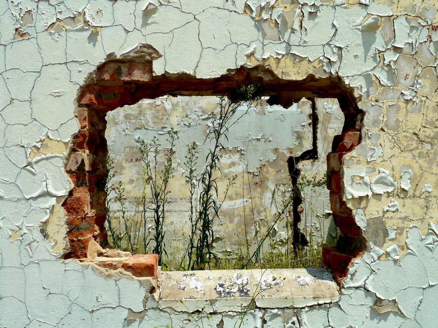 Upholding to Unlearning to Dismantling Capitalism  | Private Practice Money™ Blog thumbnail
