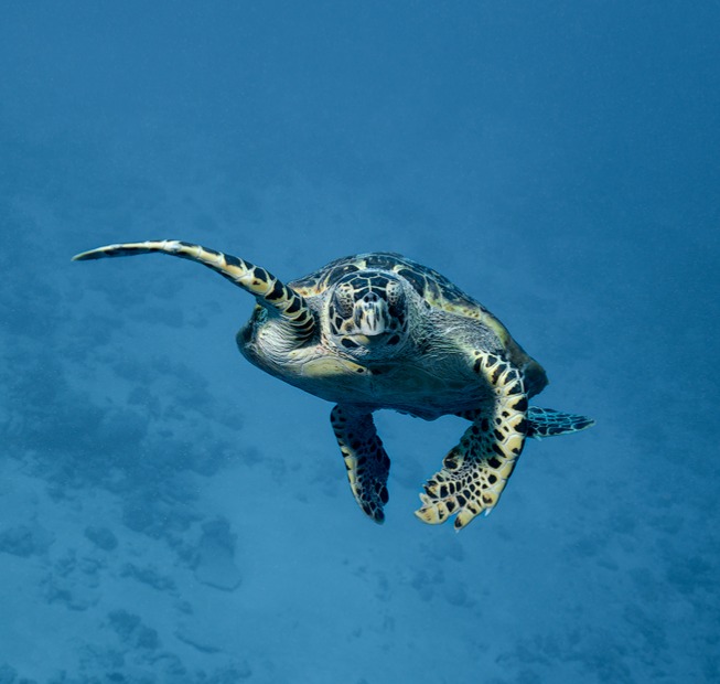 50% OFF YOUR ORDER IN PRINTS thumbnail