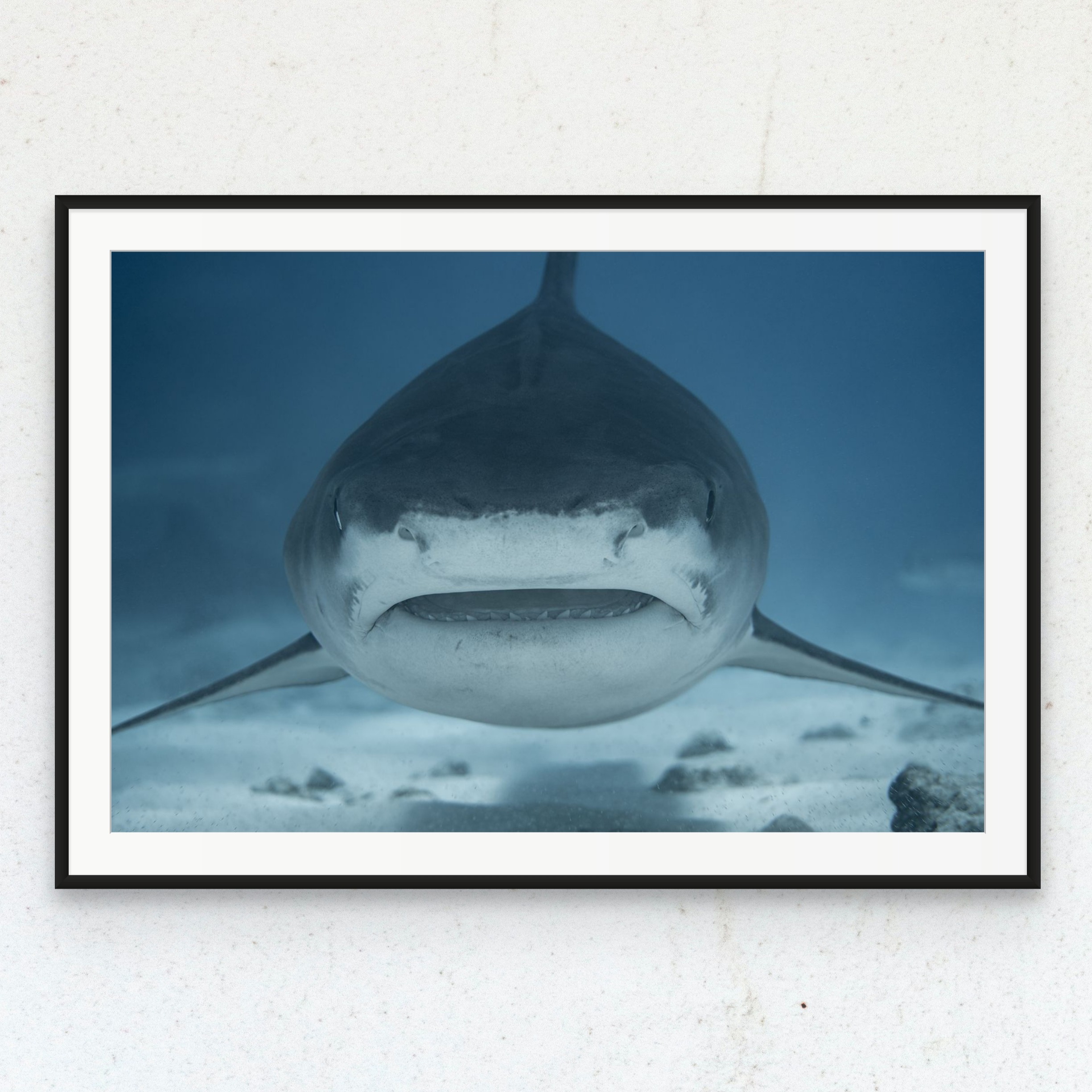 Print Store thumbnail