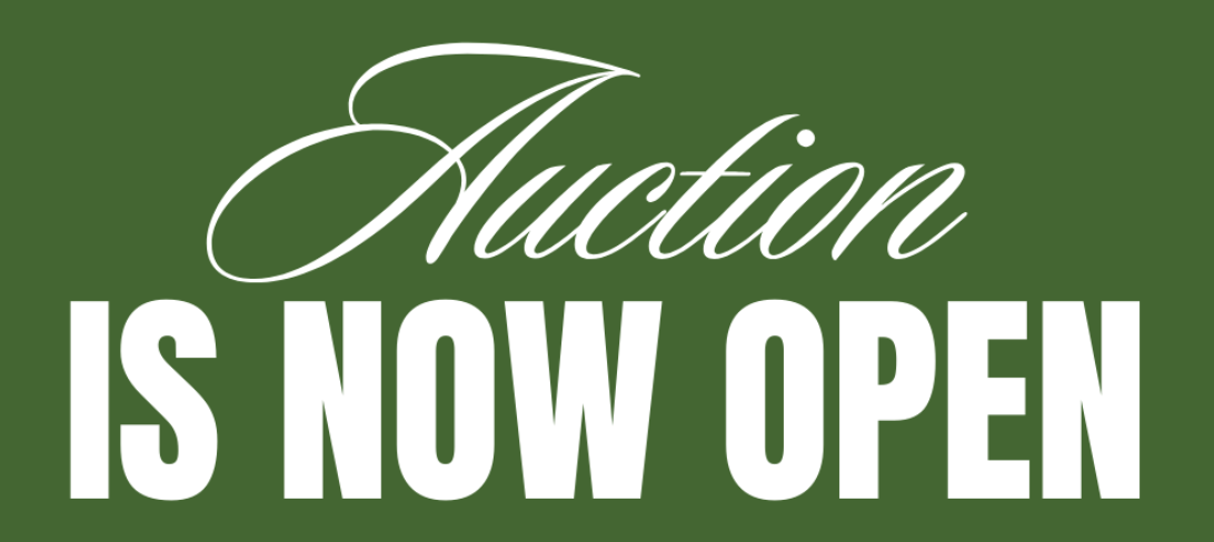 Auction thumbnail