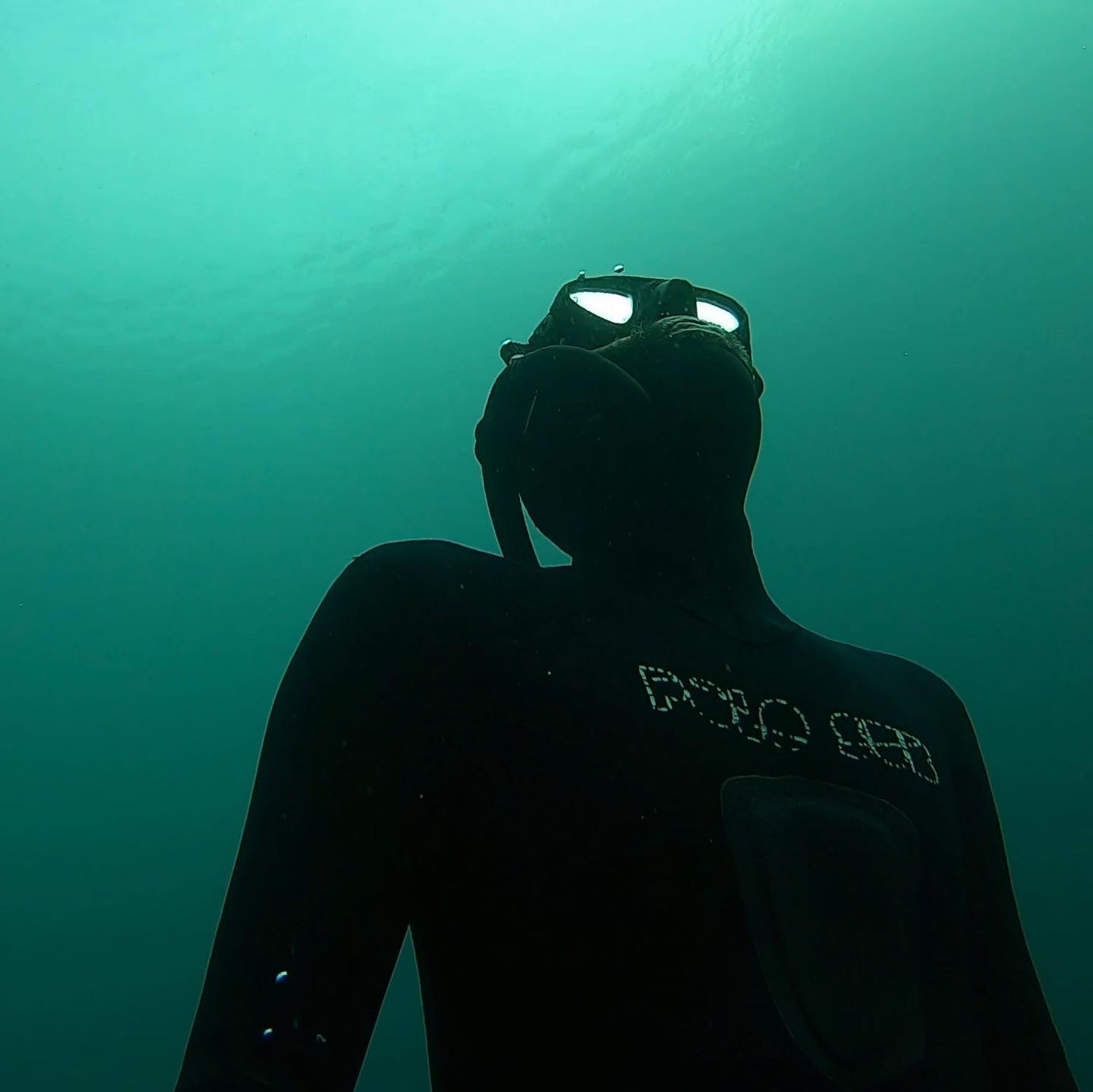 Underwater Duck Face Guy.
•
•
•
#apnea #kreideseehemmoor #fridykning #freediving